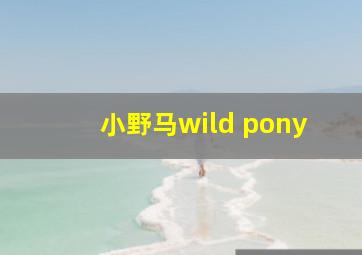 小野马wild pony